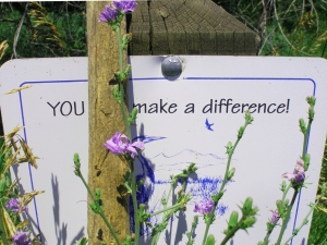 You Make a Difference