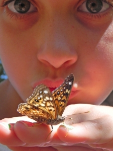 Butterfly Kisses