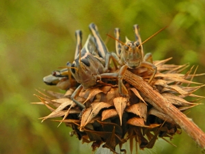Date Night, Holding Hands .. hot