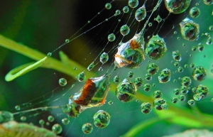 Inside the Bubbles .. hot