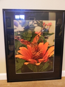 framed Textures In Orange