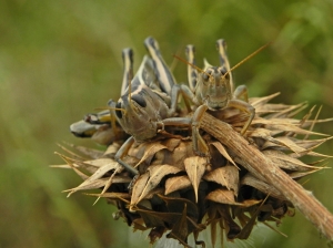 Date Night - holding hands